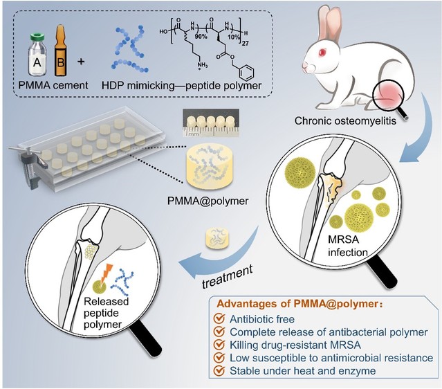 524cd6f5-bff5-4ef1-95b4-fef31d50e9d7