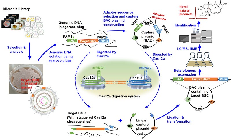 07f46257-0628-4c1b-a1bf-88535badda41 07f46257-0628-4c1b-a1bf-88535badda41