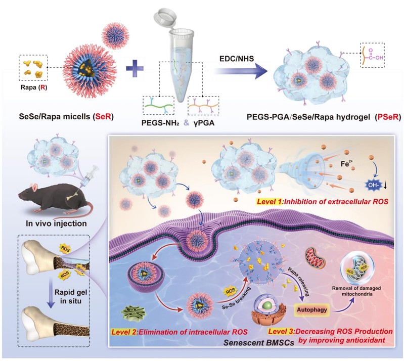 7a44e33c-2c34-46a3-8d8d-a3c2d321310c