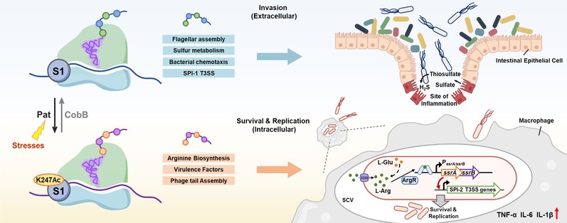 b85eb969-bef6-4c5d-9daa-e209b262d16f