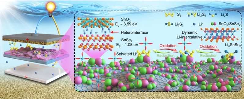 bc3b14a7-d517-4cb2-9543-438e65090a44