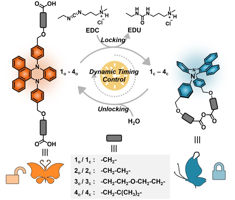 09fd8c53-d4ca-458c-9a68-1a7af86dd413