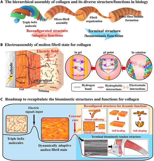 ff4a4bb6-7027-4aac-a97b-ca9889e8dc1d