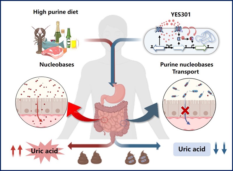 df0f82b2-5de6-47e1-97c0-7a78d4e86b37 df0f82b2-5de6-47e1-97c0-7a78d4e86b37