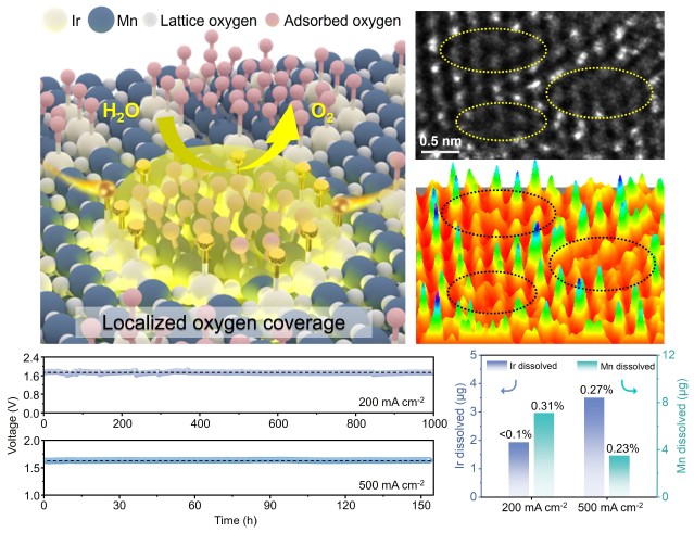 86fd3647-0b0d-4bb4-aab9-b7802ac5f29c 86fd3647-0b0d-4bb4-aab9-b7802ac5f29c