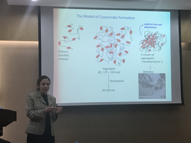 a4a7a9f7-ad7b-4ca3-bbf2-dc5ff803a687