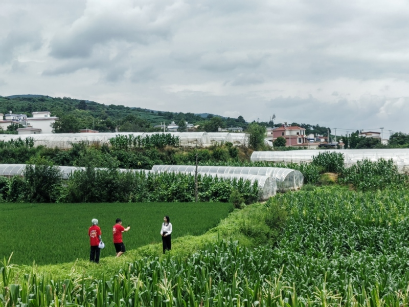 fa130c43-549d-4d37-a0e7-78fe8f0b8281