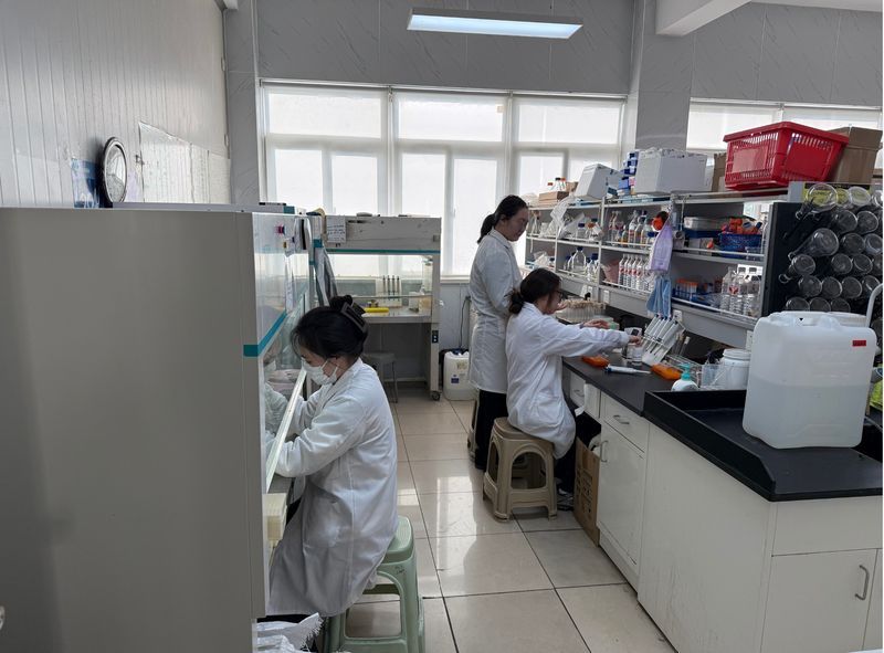 642f263d-6b53-4cfc-890e-8b9217dcdf4f