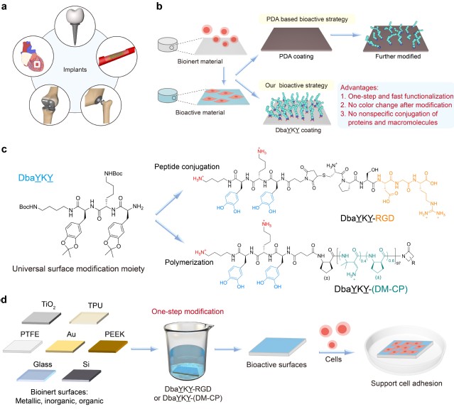 751e742c-4275-4e10-ab8b-a1fb507f7ed1