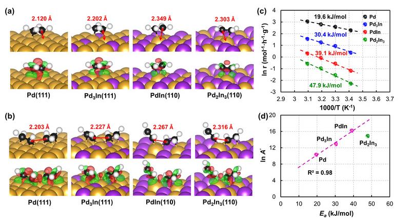dc231391-c366-44c2-8e2d-9a3356b775d0