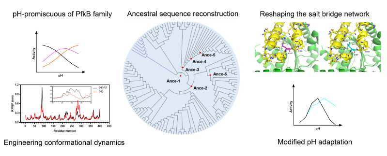 ad8a1672-1cb6-4de9-ada0-51851d8ae505