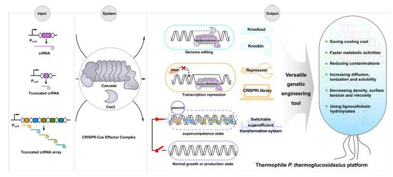 6311f9d6-742b-42c2-91b3-09070f836606