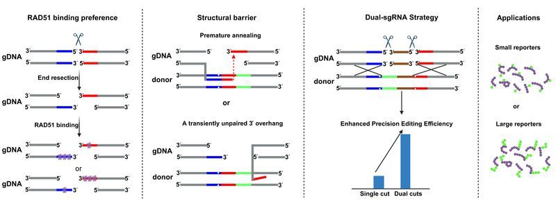 442dbfda-1c1f-4092-8912-77484db2dedb