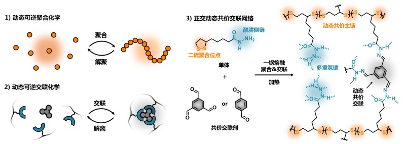 e1d3b20d-6291-4ede-a62f-9810ca9121f8