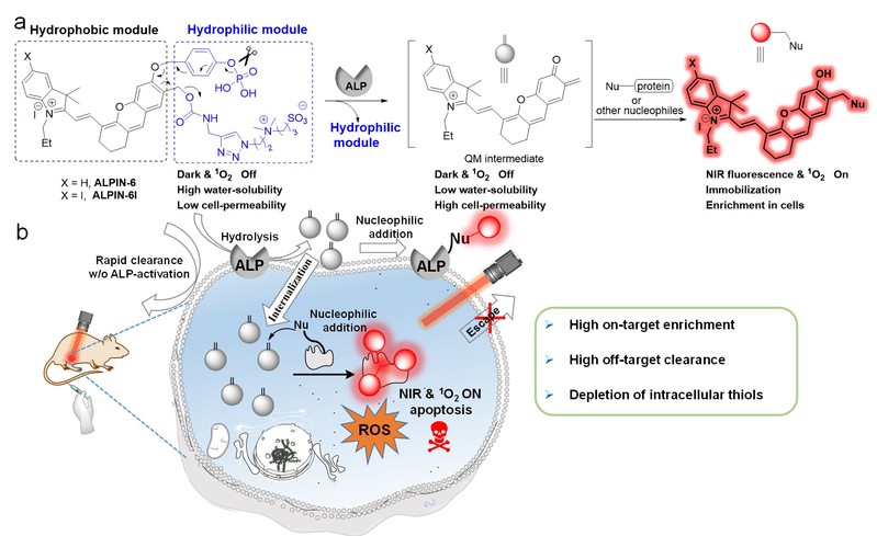 86dc0be1-e6f2-4154-873d-9c31bdfd6629